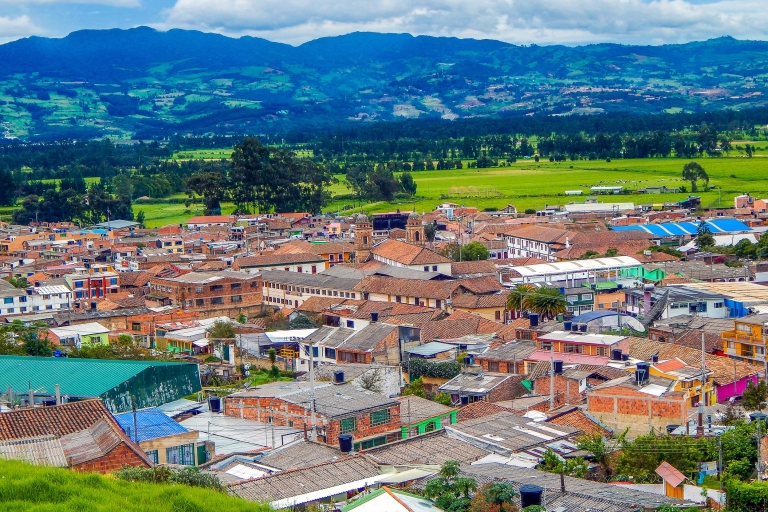 Z Bogoty: Prywatna wycieczka z przewodnikiem po katedrze solnej Nemocón