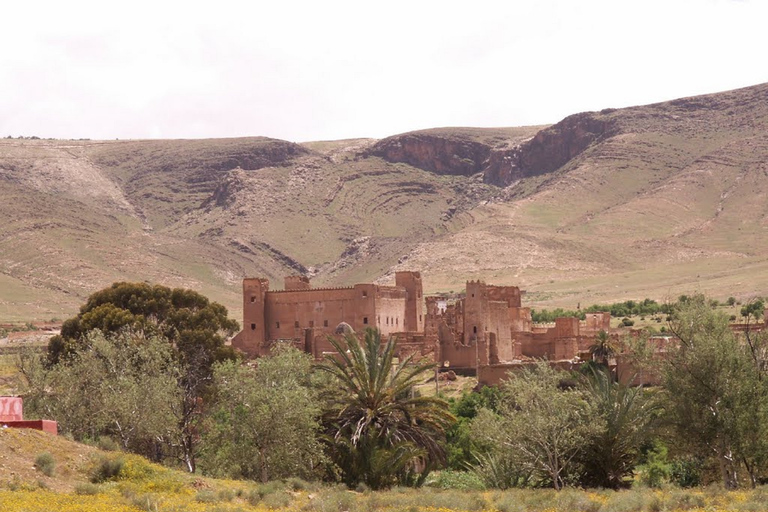 Depuis Agadir : excursion de 2 jours dans le désert du Sahara à Zagora