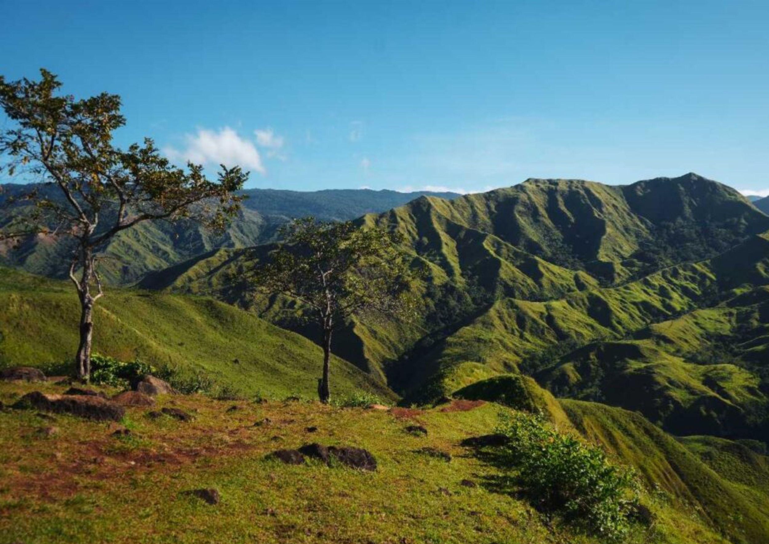 Cagayan de Oro: Tagestour zum Bukidnon Adventure Park