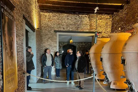 Visita à vinícola mais antiga do Uruguai com almoço e traslado - San Juan