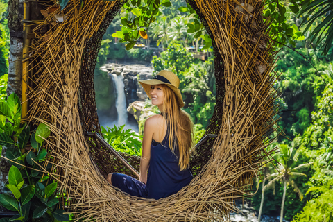 Ubud : cascade, rizières en terrasses et forêt des singesVisite du meilleur d'Ubud avec déjeuner