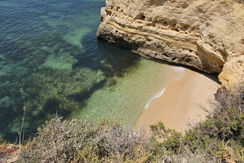 Från Faro: Benagil Cave, Marinha Beach, Algar Seco &amp; MerFrån Faro: Benagil-grottan, Marinha Beach, Algar Seco och mycket mer