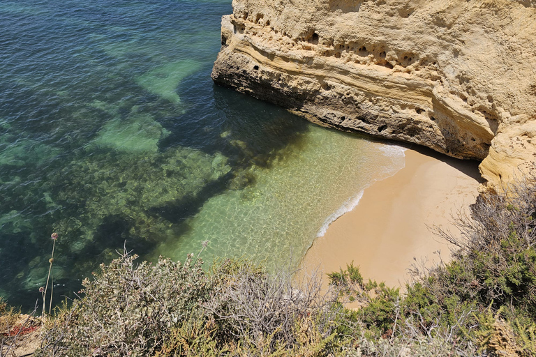 Depuis Faro : grotte de Benagil, plage de Marinha, Algar Seco, etc.