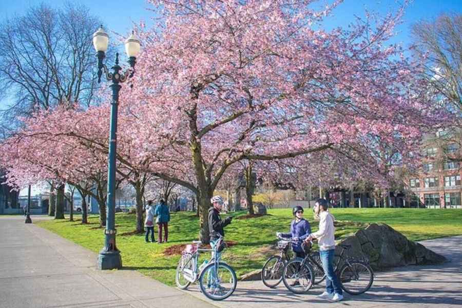 Essential Portland: 2-stündige geführte Fahrradtour. Foto: GetYourGuide