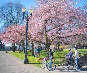 Essential Portland: 2-Hour Guided Bike Tour