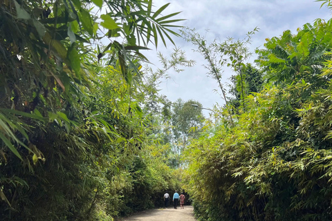Hoi An/Da Nang: Ky Anh Tunnels & Champa Towers Tour