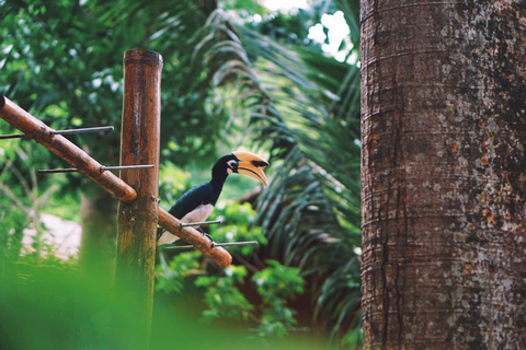 Phuket: Excursión de un día a Banana Beach Koh Hey en lancha rápidaPhuket: Excursión de un día Banana Beach Koh Hey En Lancha Rápida