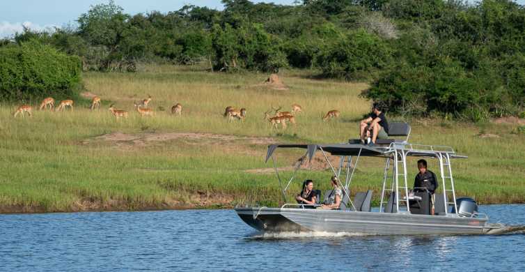 Akagera National Park Game Drive Day Trip with Lunch GetYourGuide