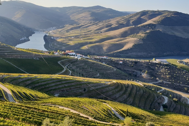Douro Valley: Premium Full-Day Tour Experience