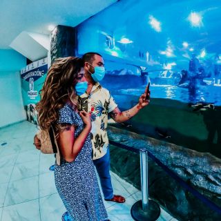 Mazatlan: City Aquarium Premium Access and Sightseeing Tour