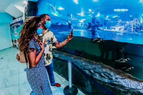 Mazatlan: City Aquarium Premium Access and Sightseeing Tour
