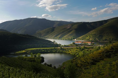 Porto: Douro Valley w/ Winery, Tasting, Boat Cruise & Lunch From Porto: Douro Valley with Winery, Wine Tasting & Lunch