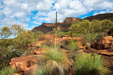 Eyre Peninsula and Flinders Ranges: 6-Day Adventure Tour