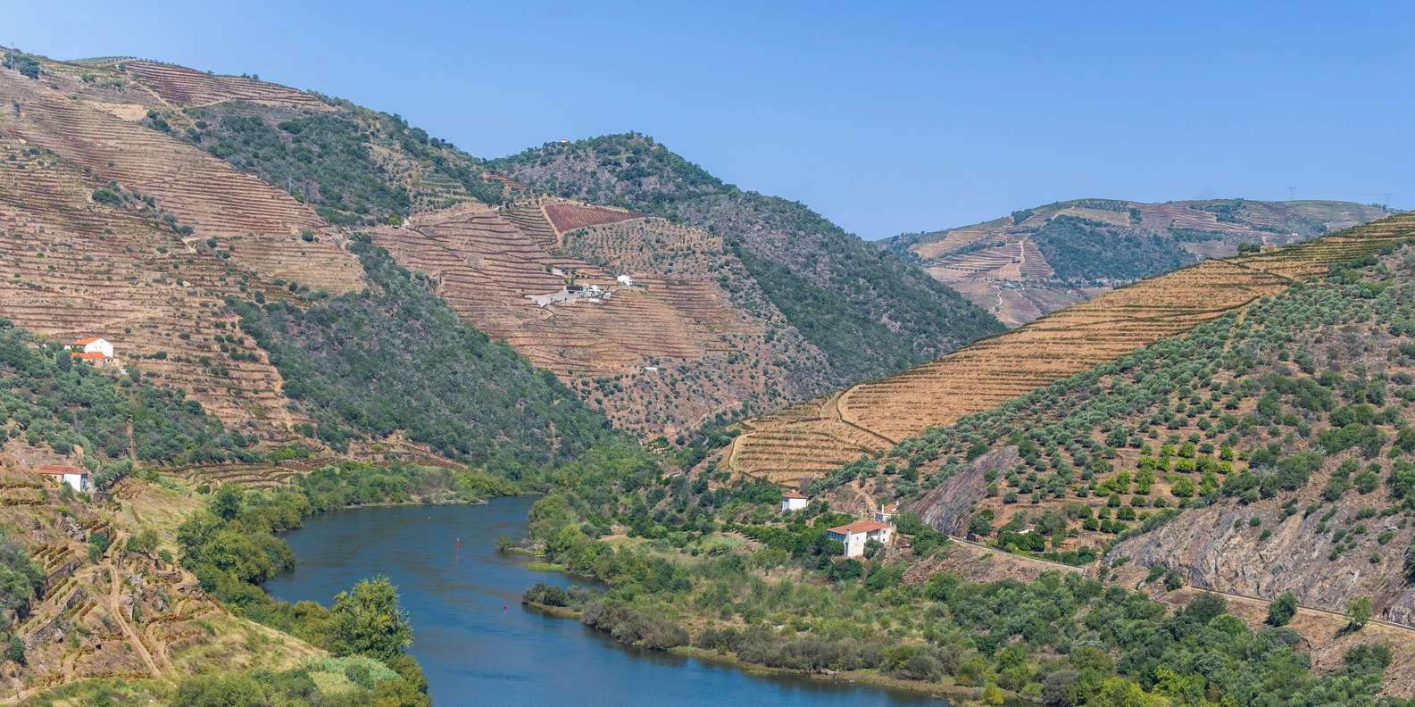 Porto: Douro Valley Day Trip with Wine Tasting & Cruise