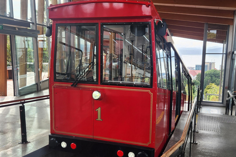 Wellington's Historical Walking Odyssey