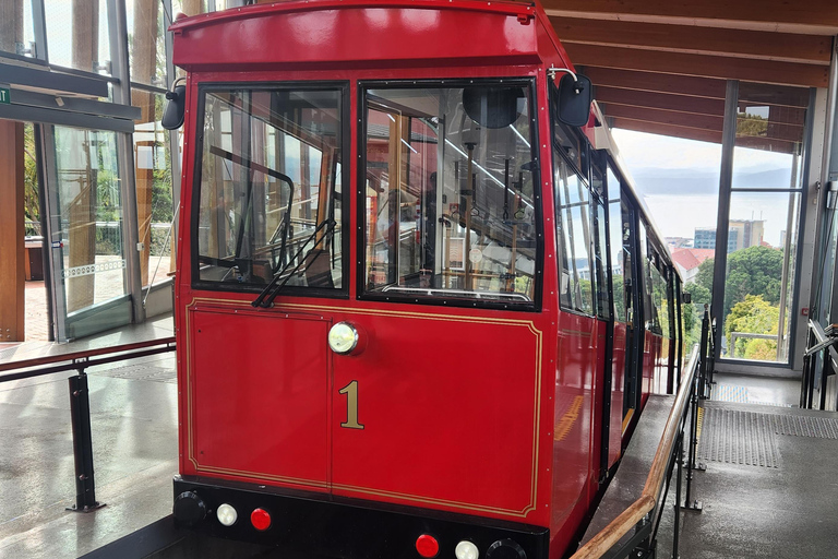 Wellington's Historical Walking Odyssey
