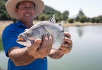 Wonga, Daintree Saltwater Farm Tour - Housity