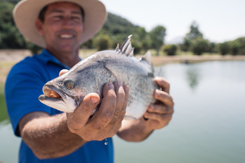 Wonga: Daintree Saltwater Farm TourStandard option