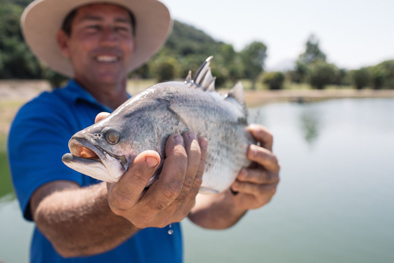 Wonga: Daintree Saltwater Farm TourOpcja standardowa