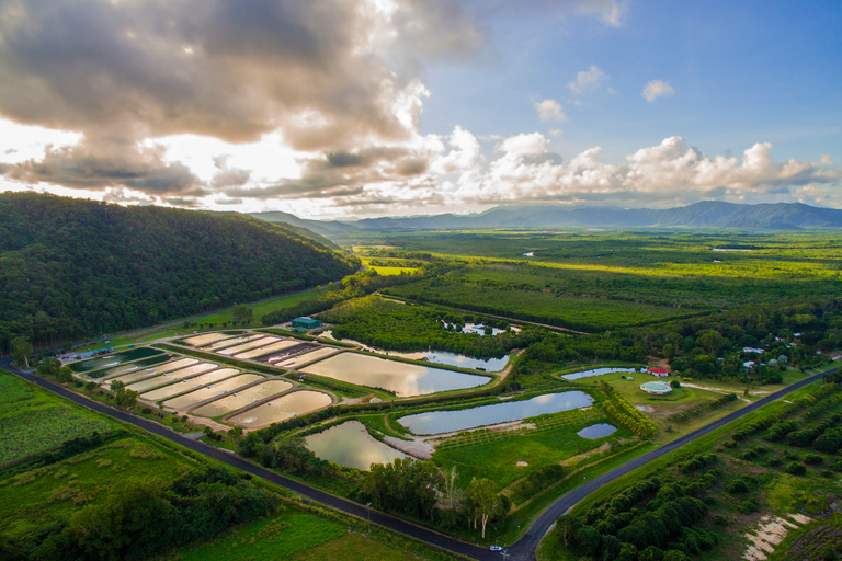 Wonga : Visite de la ferme d&#039;eau salée de DaintreeOption standard