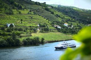 Ab Porto: Panorama-Bootsfahrt durch Régua und das Douro-Tal