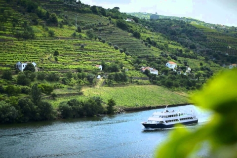 Z Porto: Sceniczny rejs po Régua i Douro ValleyMiejsce zbiórki Wyjazd