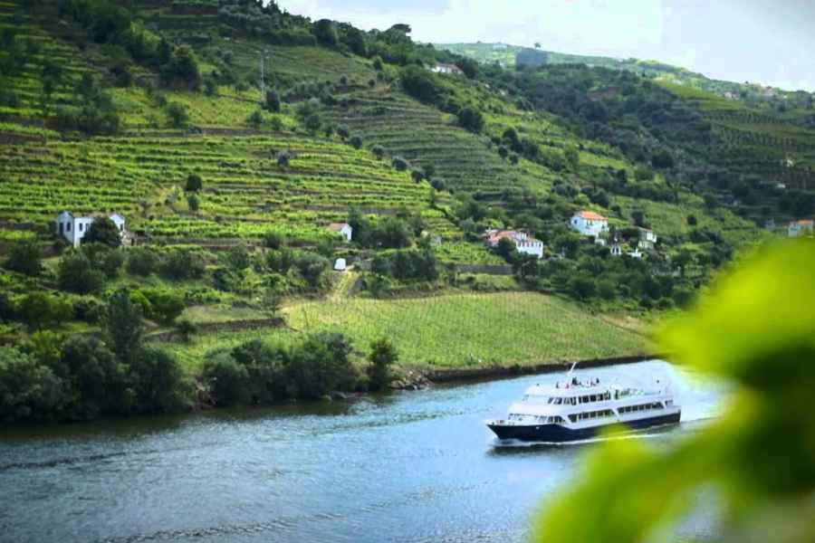 Ab Porto: Panorama-Bootsfahrt durch Régua und das Douro-Tal. Foto: GetYourGuide