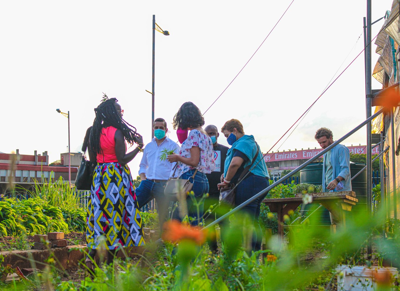 Johannesburg: Panafrikansk madlavning og madoplevelse