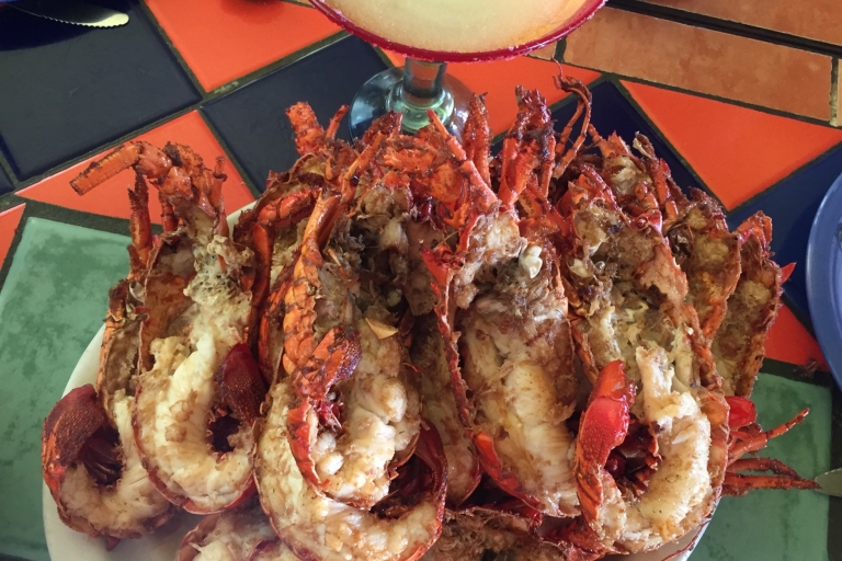 De San Diego : visite privée de Puerto Nuevo avec déjeuner au homard