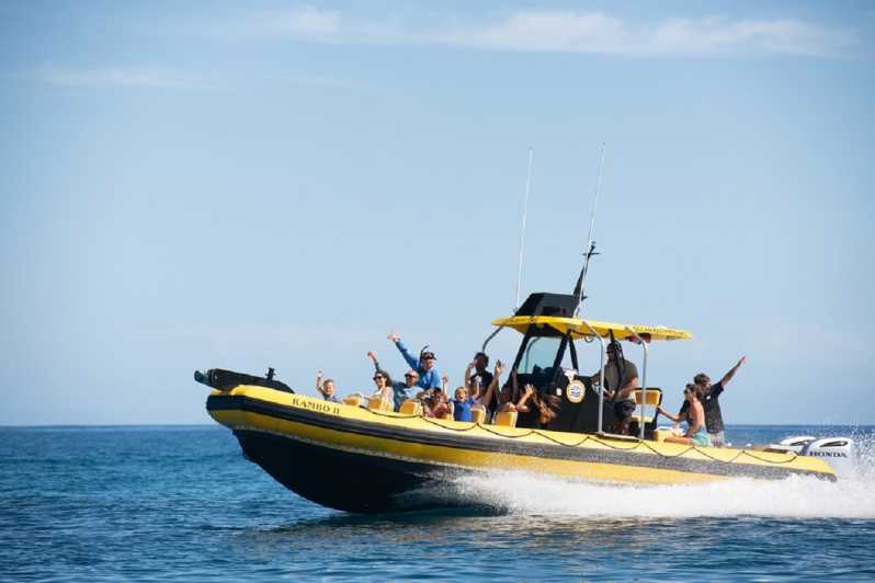 Haleʻiwa Private Boat Charter GetYourGuide