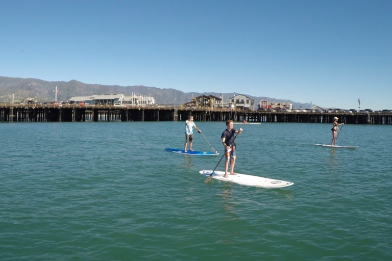 Santa Barbara: Stand-up Paddle Board Rental 1 Hour SUP Rental