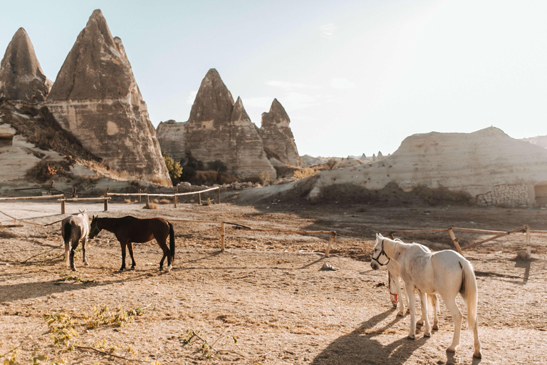 Excursión de 2 horas a caballo al atardecer (Valle Rojo y Rosa)