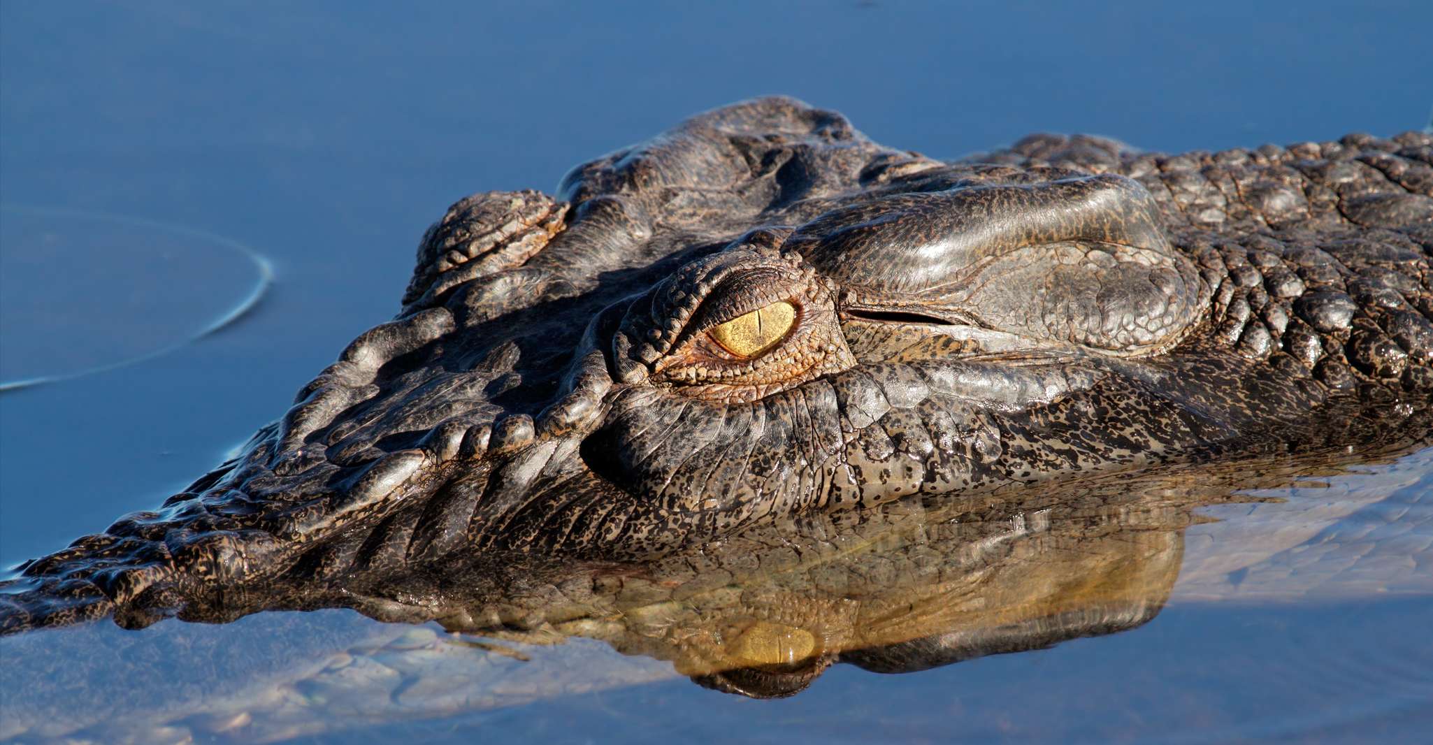 Darwin, Kakadu National Park Day Trip - Housity
