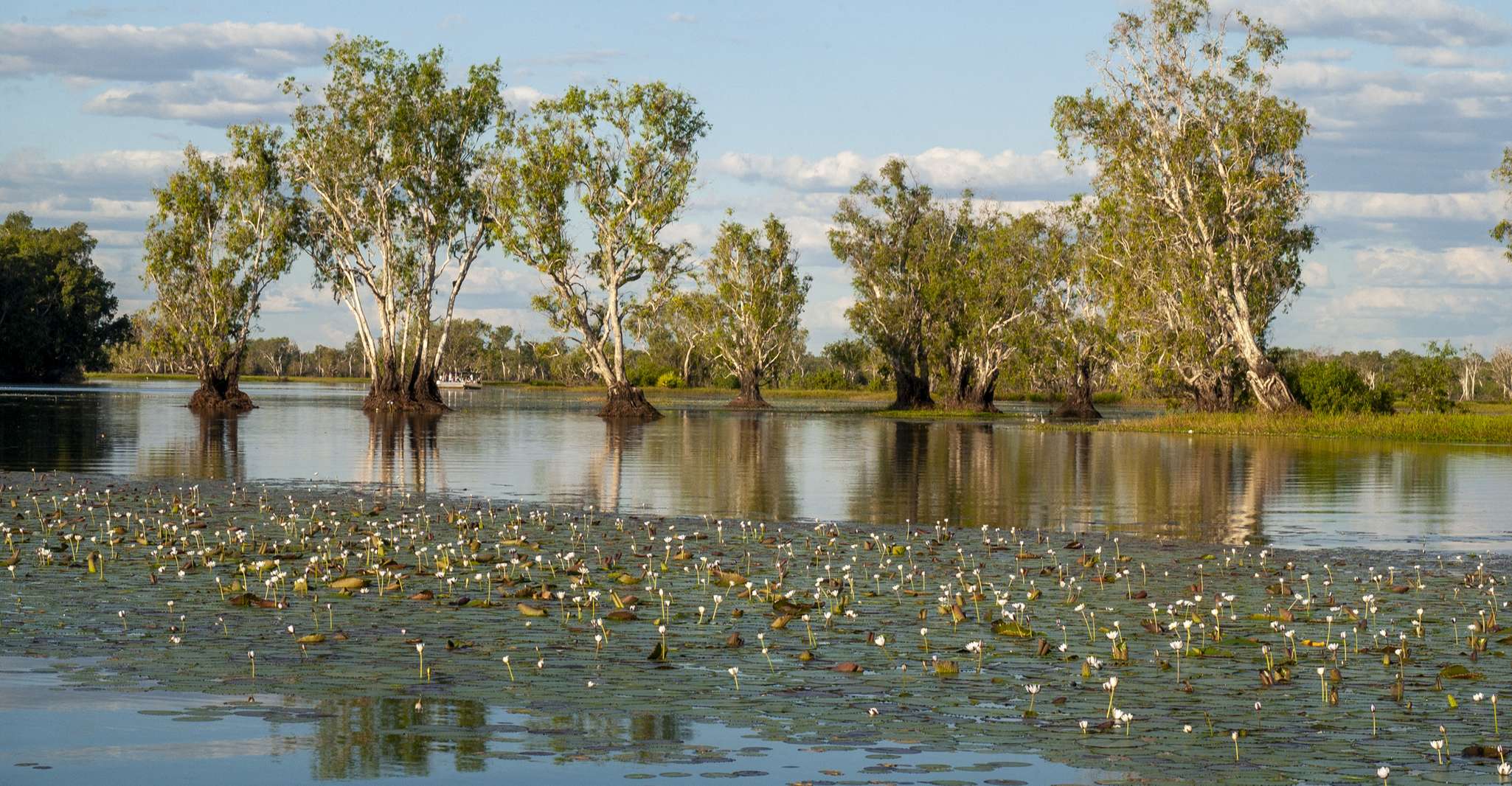 Darwin, Kakadu National Park Day Trip - Housity