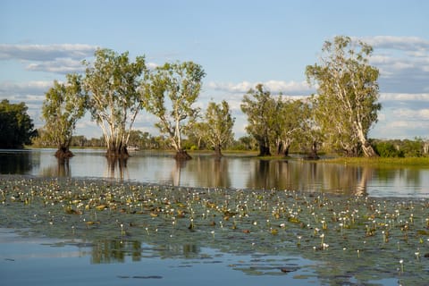 Darwin: Kakadu National Park Day Trip
