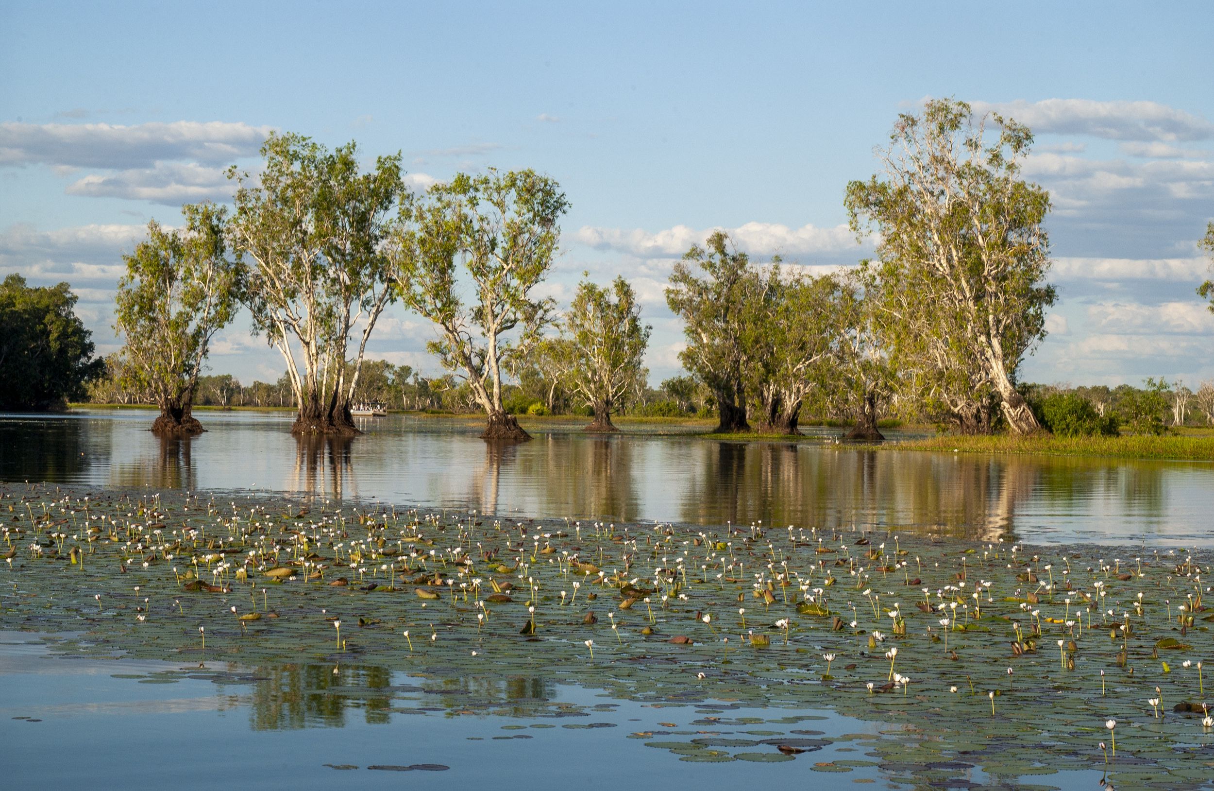 Darwin: Kakadu National Park Tagesausflug