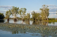 Darwin, Kakadu National Park Day Trip - Housity