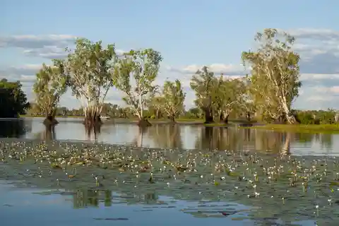 Darwin: Kakadu National Park Day Trip