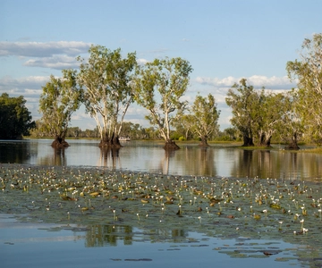 Darwin: Kakadu National Park Day Trip