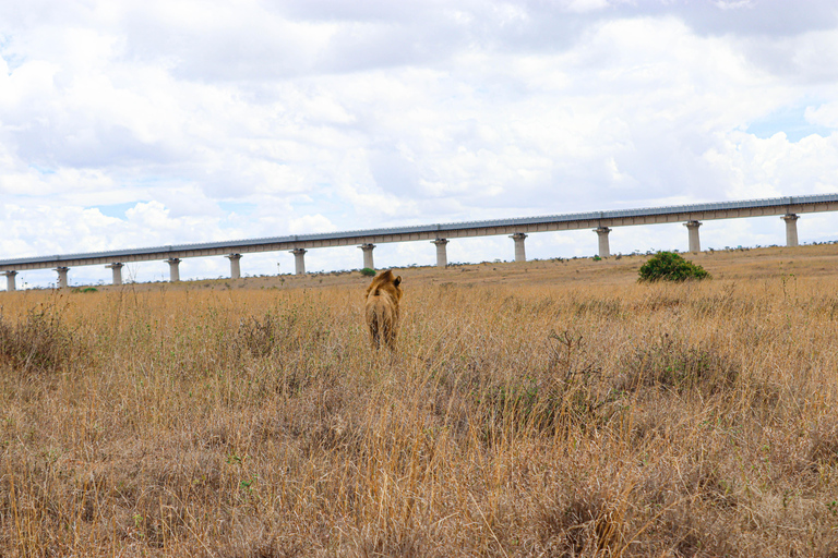 Rondleiding Nationaal Park Nairobi, halve dag