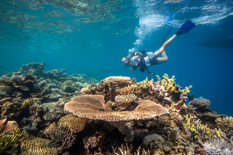 Mamanuca Islands & Reef Day Sail with Lunch & Drinks Ex Nadi_ Denarau_ Wailoaloa Hotels