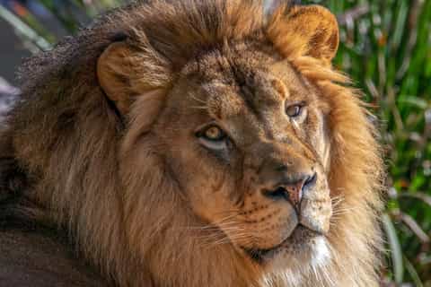 Phoenix Zoo: One Day General Admission Ticket