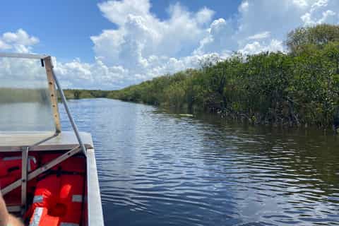 Miami: City Tour and the Everglades in a Convertible Bus