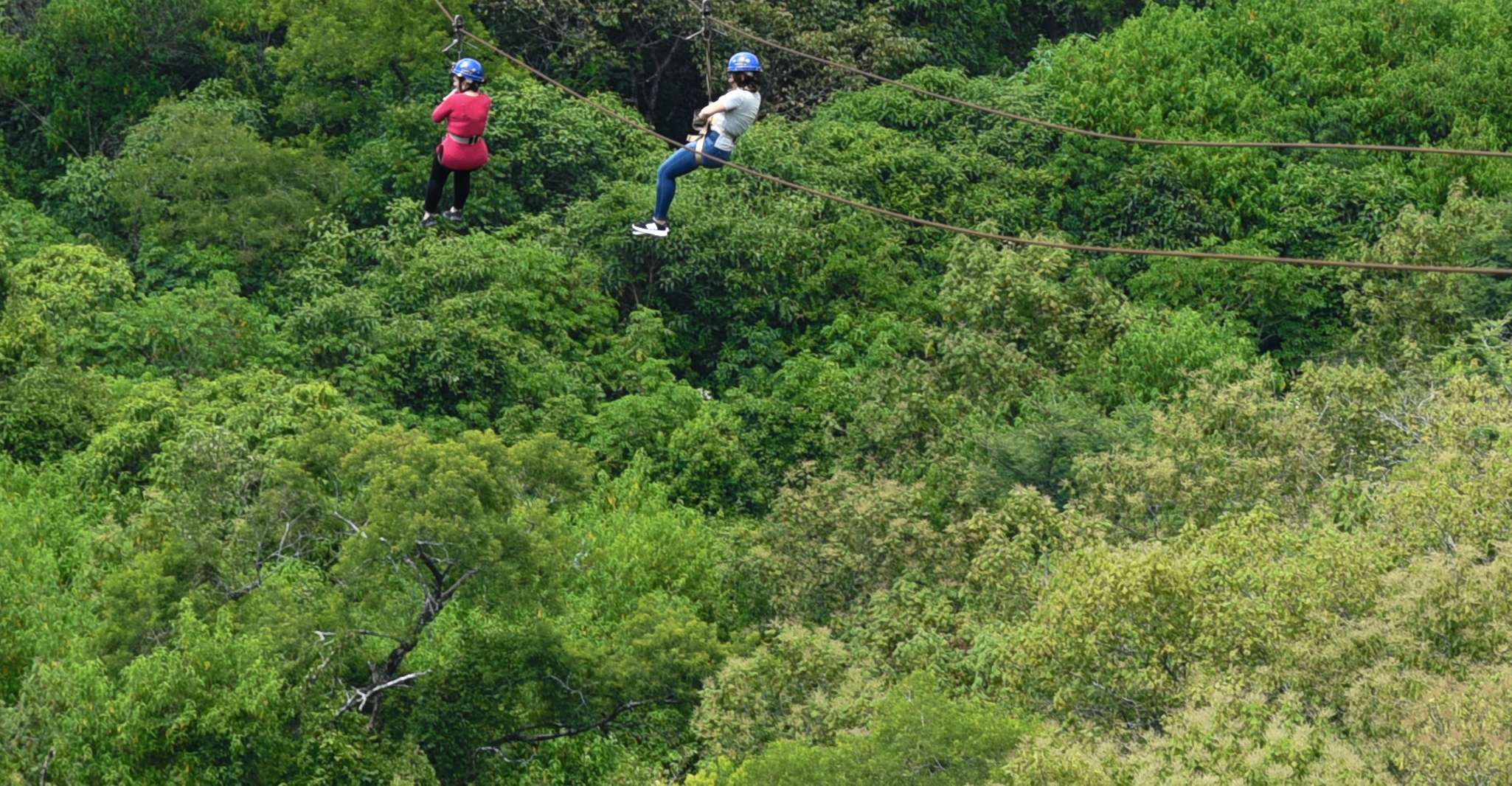 Vanuit Guadalajara, Rondleiding naar Mazamitla en Eco-Park - Hizvo