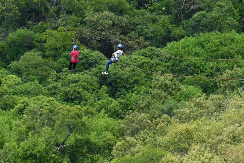 Desde Guadalajara: Tour Guiado A Mazamitla Y Eco-Park | GetYourGuide