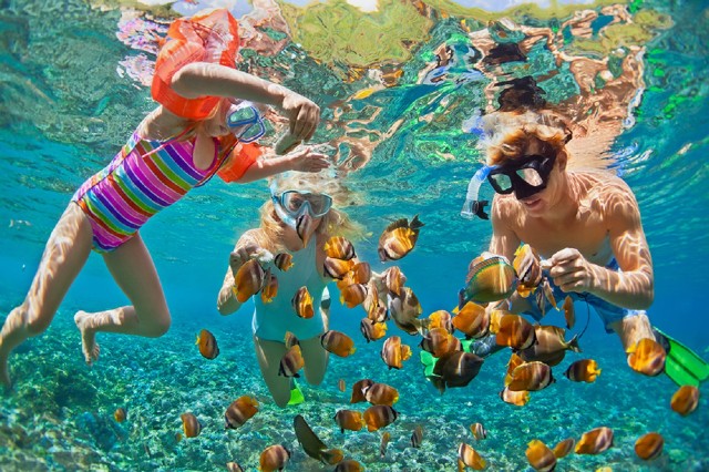 Visit Oahu 16-Point Guided Circle Tour with Snorkeling and Dole in Waikiki, Hawaii, USA