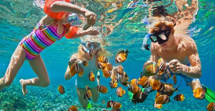 Oahu: 16-Point Guided Circle Tour with Snorkeling and Dole | GetYourGuide