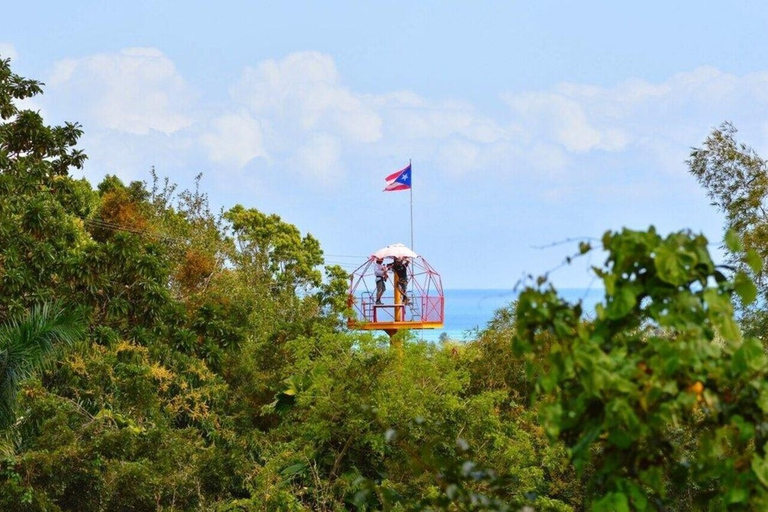 Desde San Juan: Zipline Canopy Adventure Tour