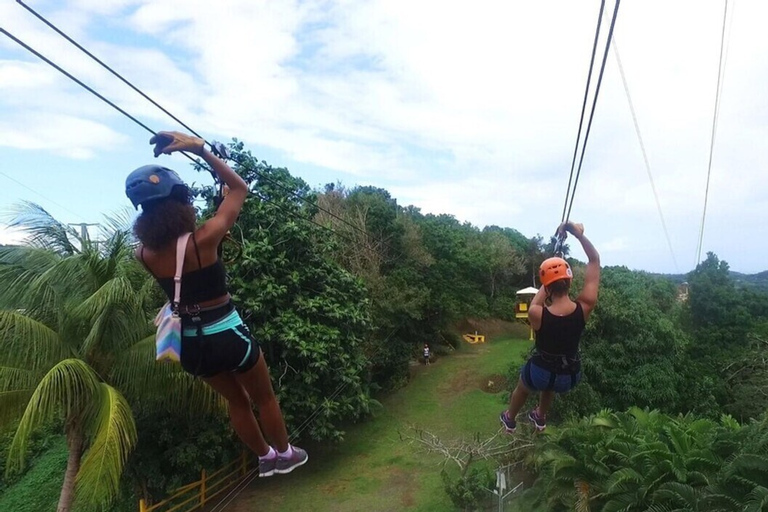 Desde San Juan: Zipline Canopy Adventure Tour