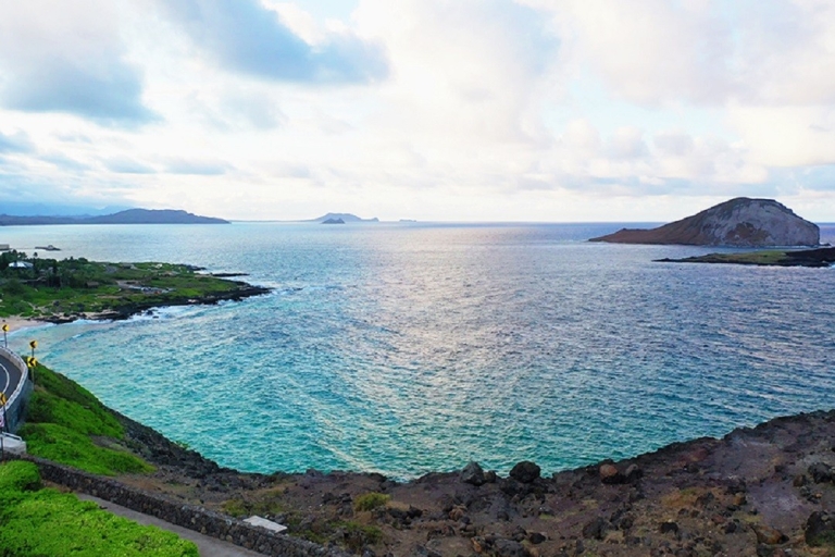 Oahu: 16-punts begeleide cirkeltour met snorkelen en DolePassagier
